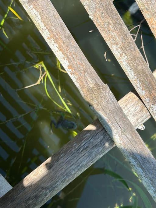 Un Havre De Paix Au Perigord Villa Anlhiac Luaran gambar