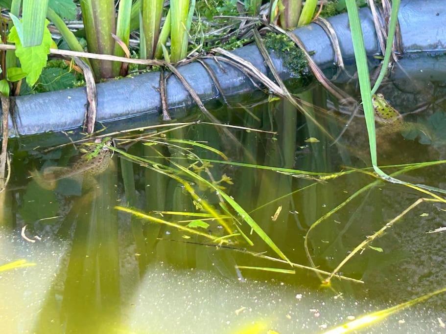 Un Havre De Paix Au Perigord Villa Anlhiac Luaran gambar